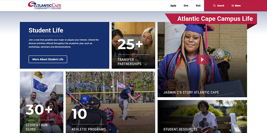 Homepage Section