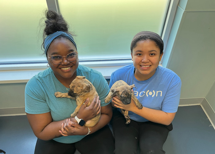 Beacon employees volunteering at animal shelter