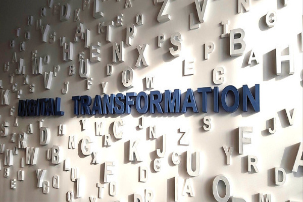             Adjusting Your Business for a Digital Transformation     