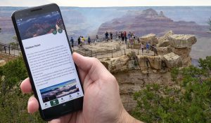 Massive Growth in Mobile Search