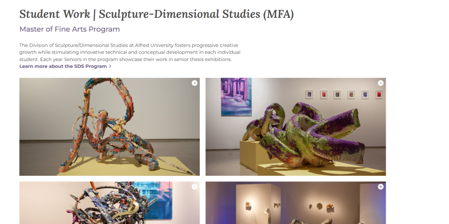 Alfred's modern gallery template to showcase student work