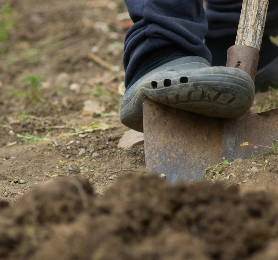 shovel digging in the dirt
