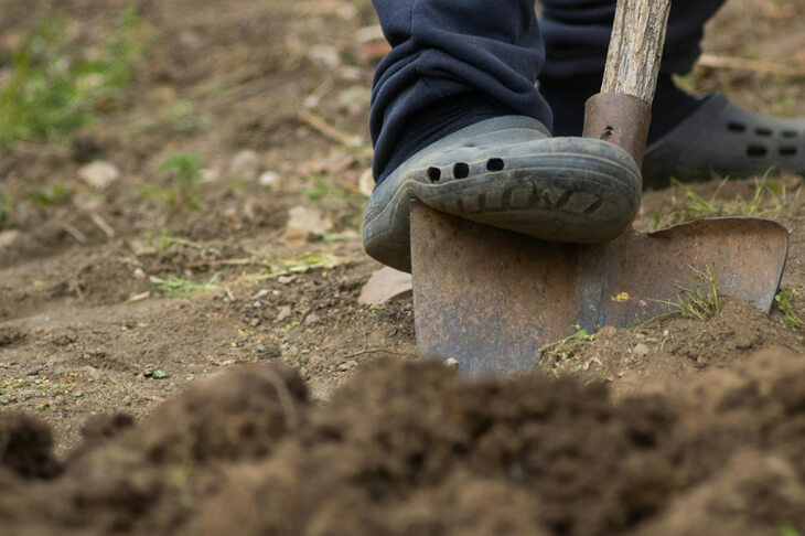 shovel digging in the dirt